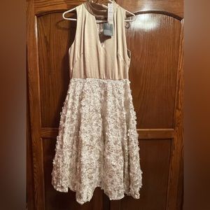 White House Black Market Fit & Flare Floral Lace Applique Dress, 8 MSRP $300.00